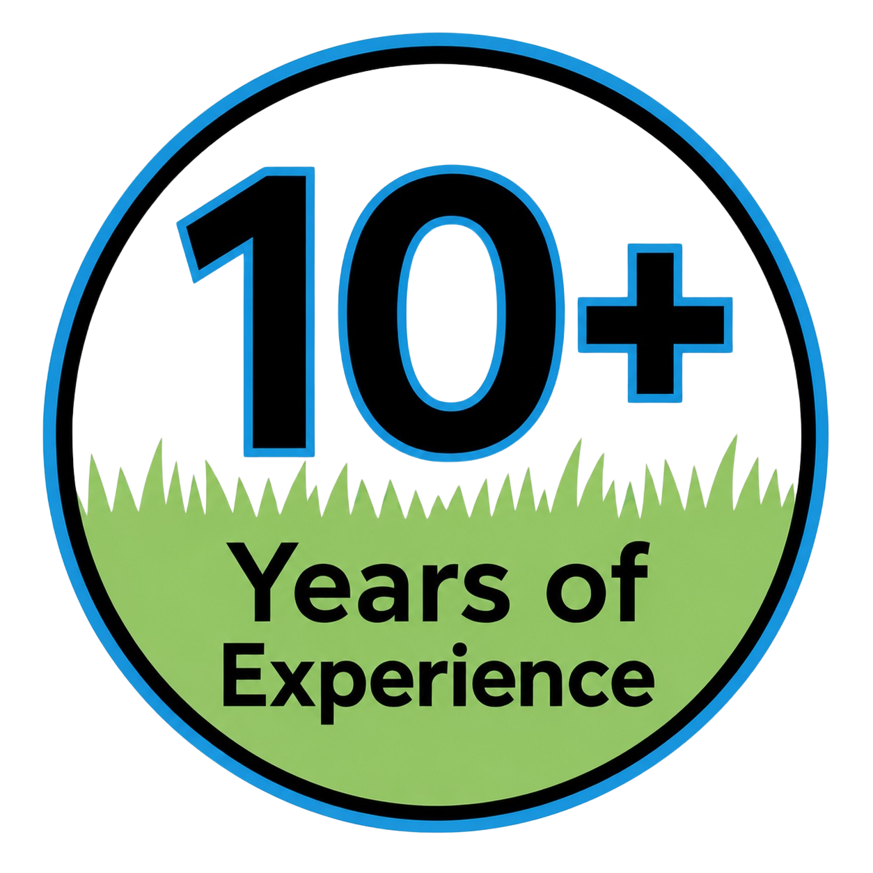 10+ Years of Experience